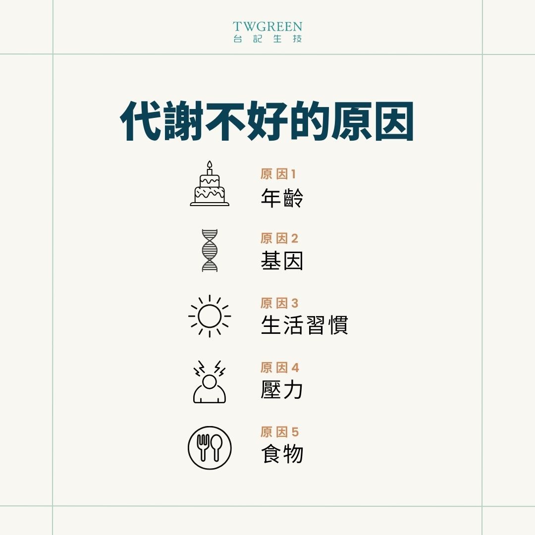 代謝不好的原因