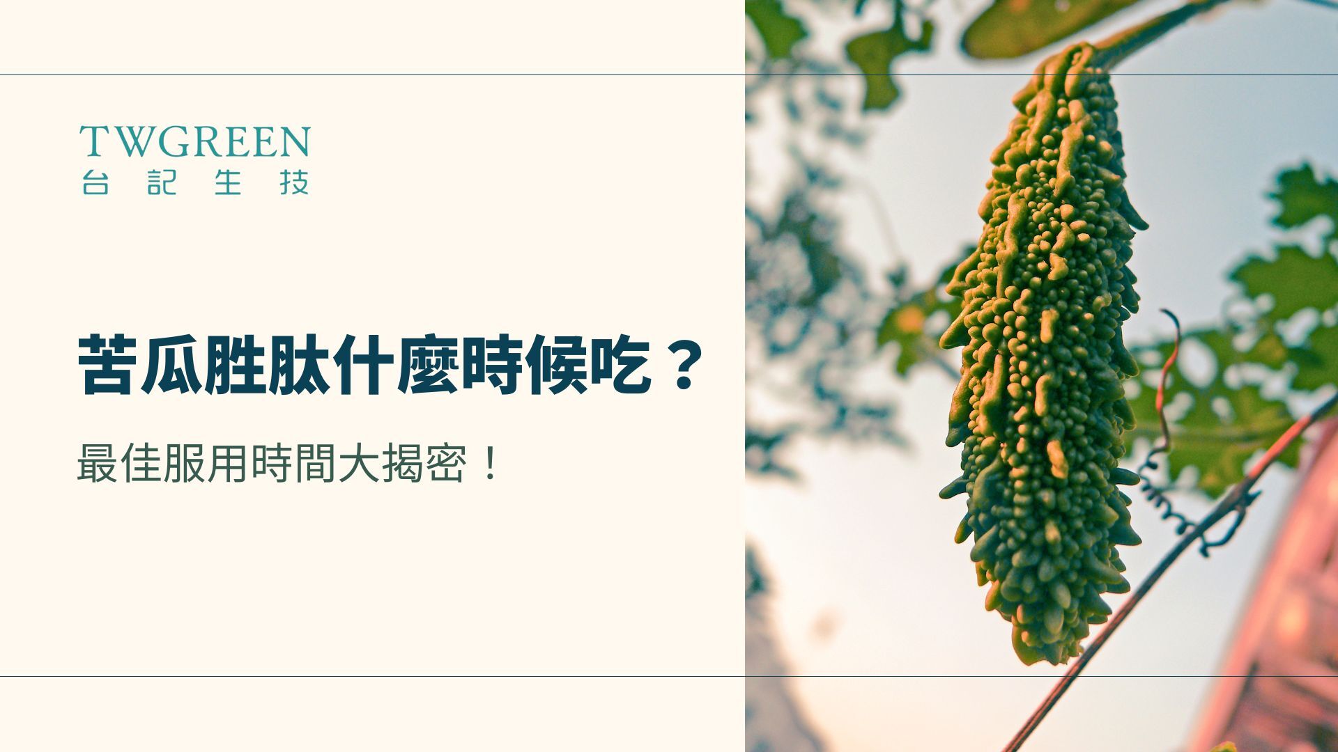 苦瓜胜肽飯前吃還是飯後吃?最佳服用時間大揭密!