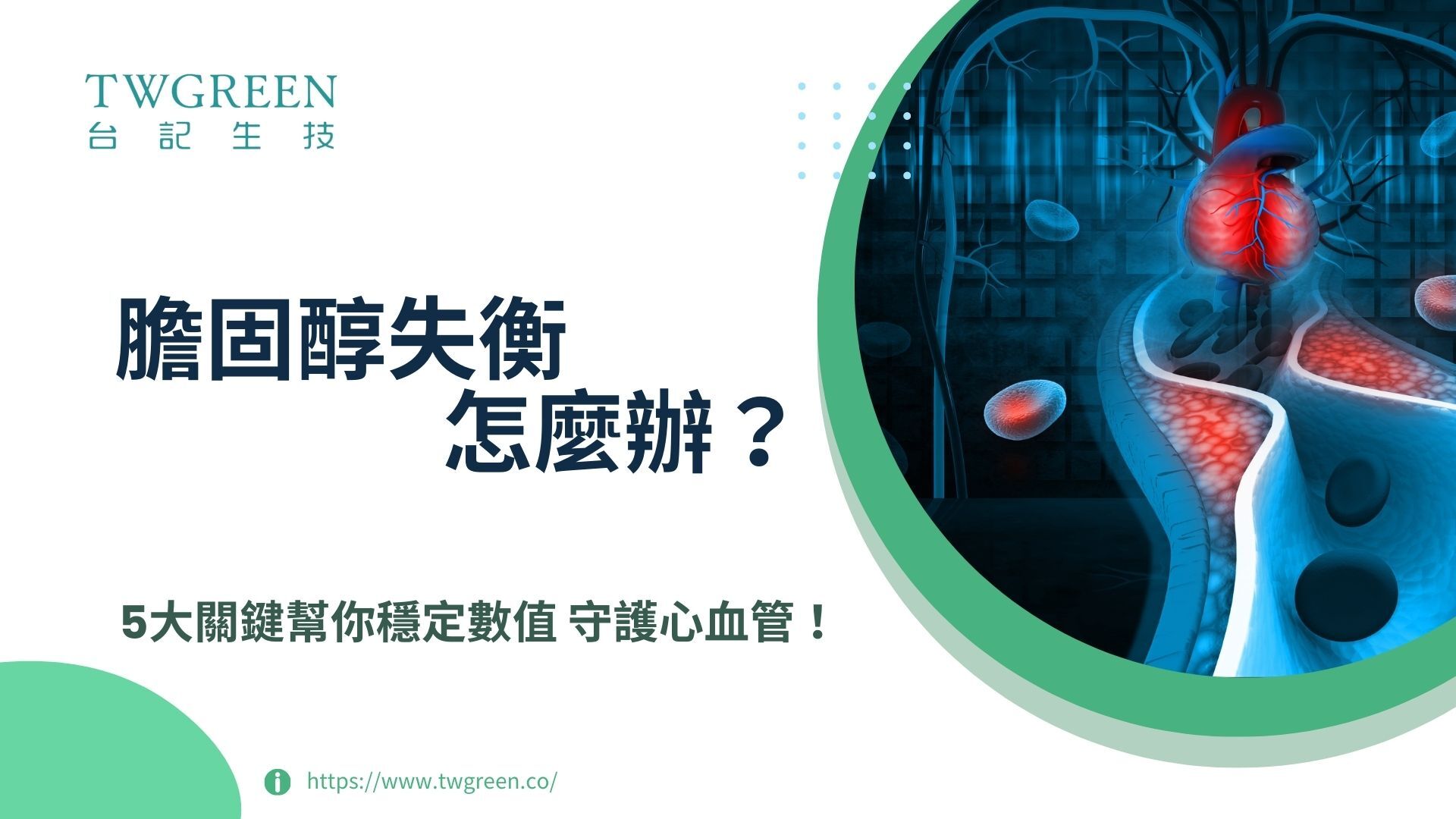 膽固醇失衡怎麼辦?5大關鍵幫你穩定數值,守護心血管!