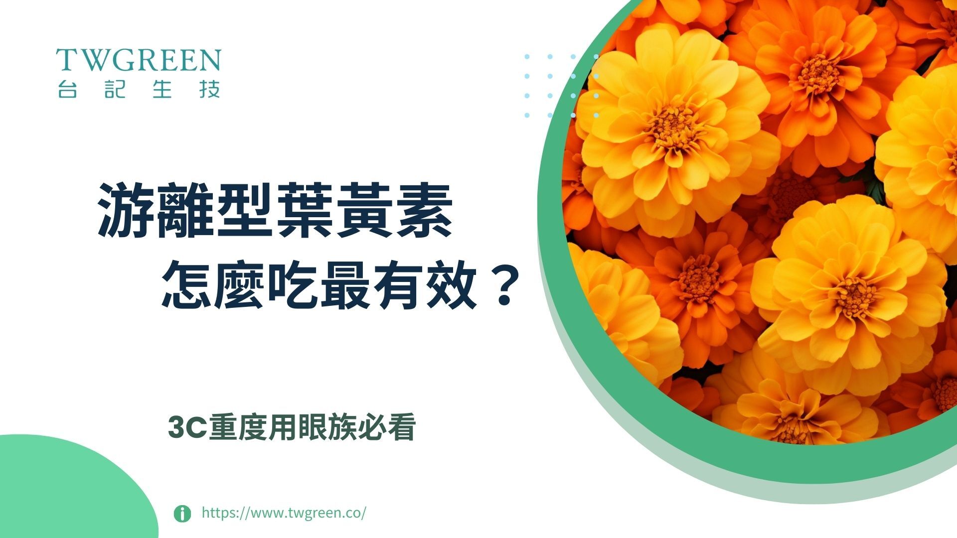 3C重度用眼族必看,游離型葉黃素怎麼選、怎麼吃最有效?