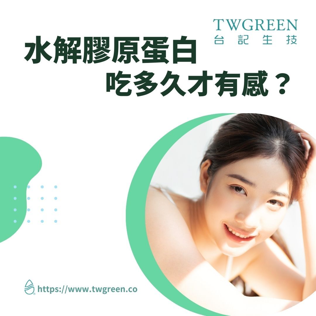 水解膠原蛋白多久有感?分子量、劑量、搭配營養素一次看懂